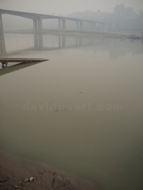 Yangtze River Swimmer
