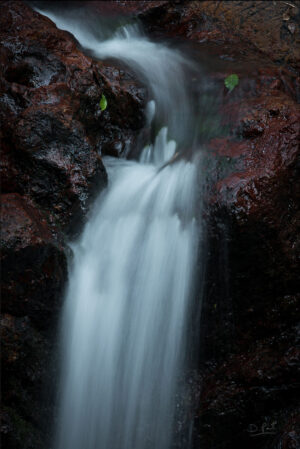 Water Falling