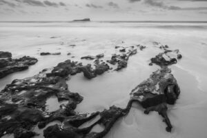 Mudjimba Black and White