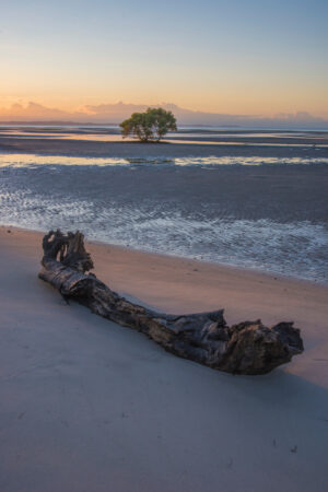 Cycle of Life Vertical